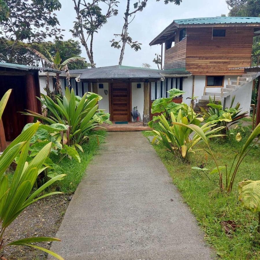 San Isidro Lodge Cosanga Extérieur photo